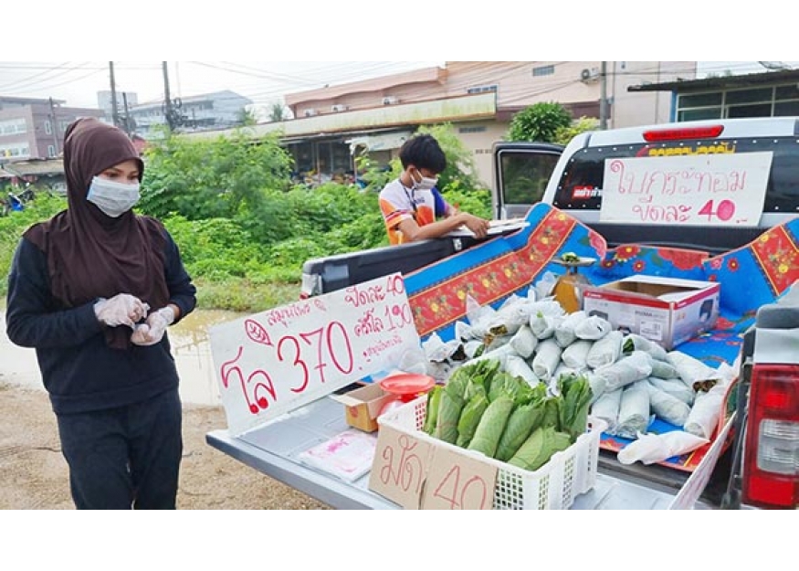 2021–09-20 卡痛叶合法上市 进入寻常百姓家